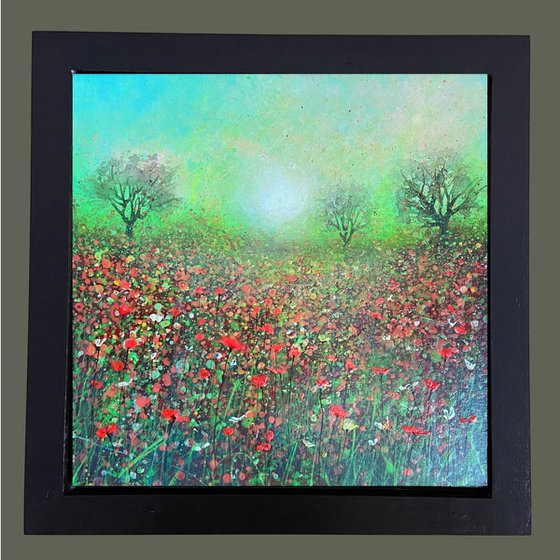 'Orchard Light'