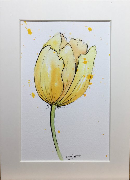 Yellow tulip by Sabrina’s Art