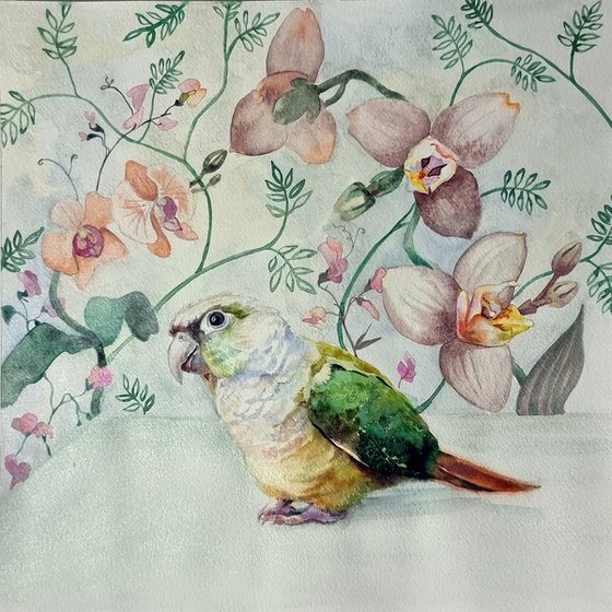 Cutie. Parrot watercolor.