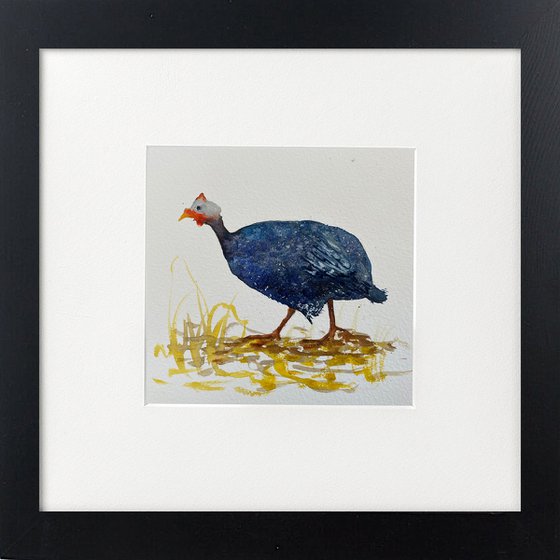 Guinea Fowl Framed