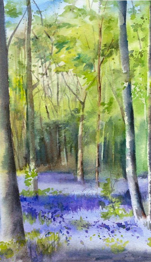 Bluebell Wood, Original watercolour painting by Anjana Cawdell