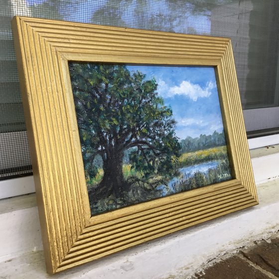 MARSH OAK - oil 5X7 (SOLD)