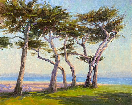 Coastal Cypress Swing Landscape