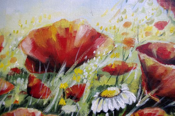 Summer Poppies