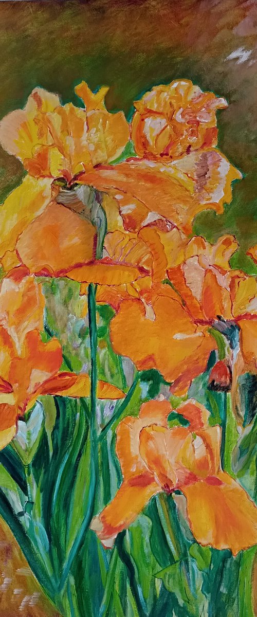 Orange irises - flowers by Isabelle Lucas