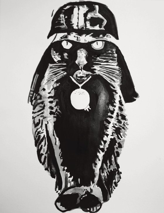 Darth Vader / 35 x 27 cm