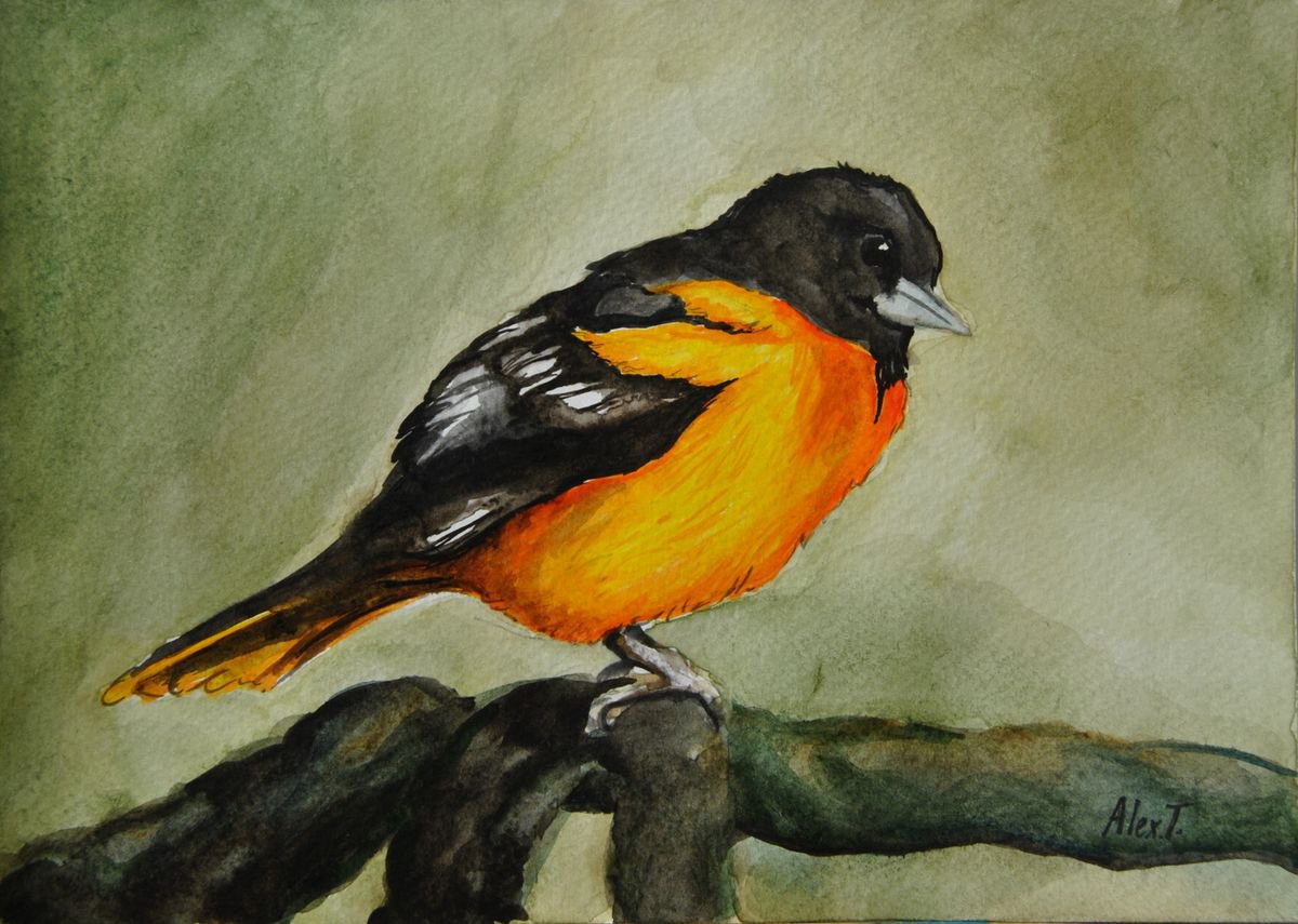 Orange Sparrow 1 by Aleksandra Tsvetkova