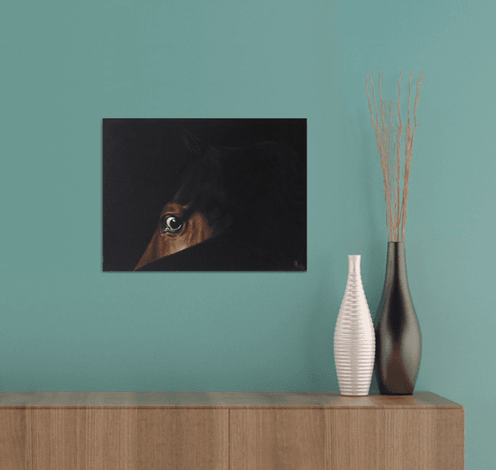 horse eye