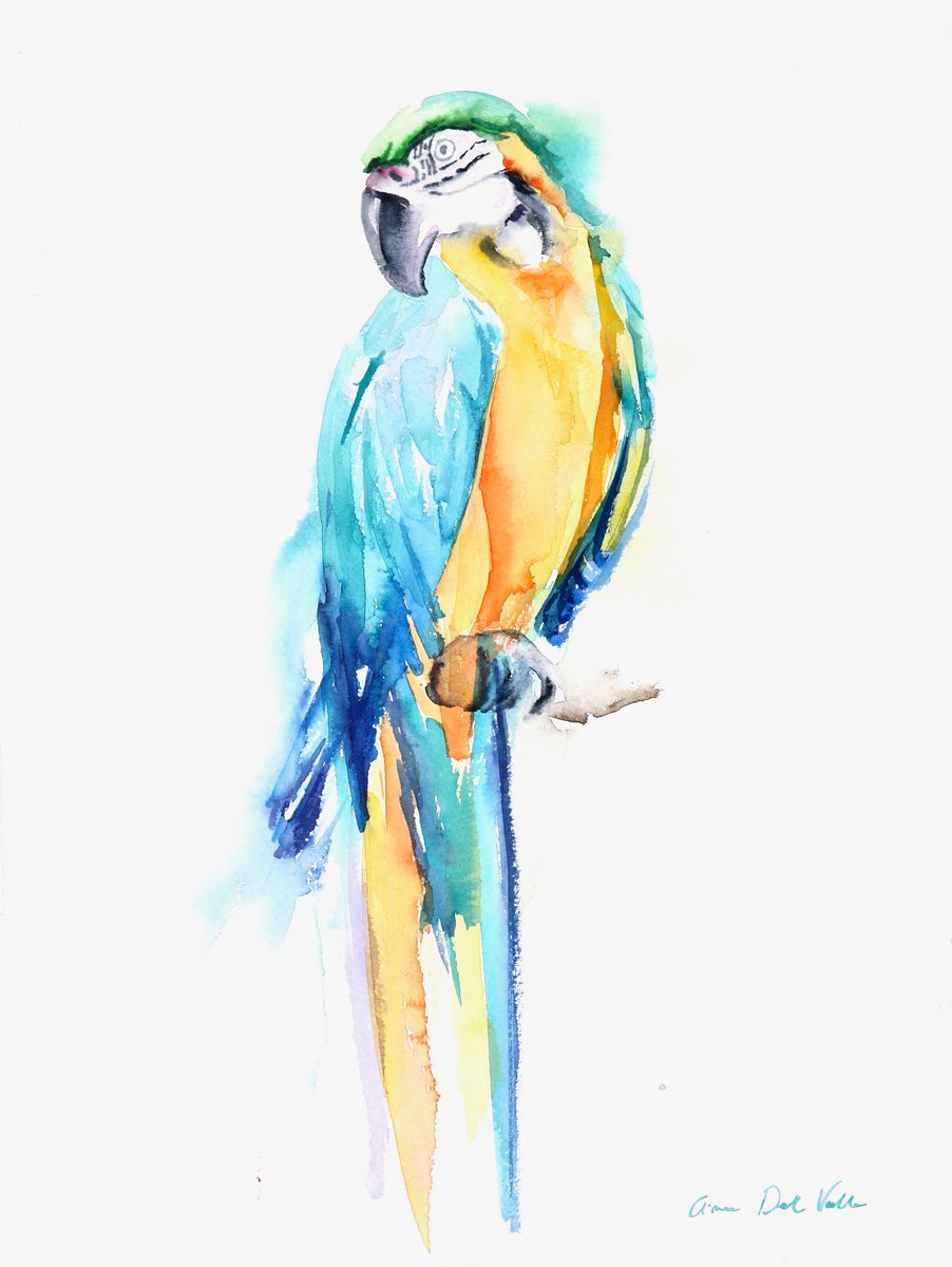 The Real Macaw by Aimee Del Valle