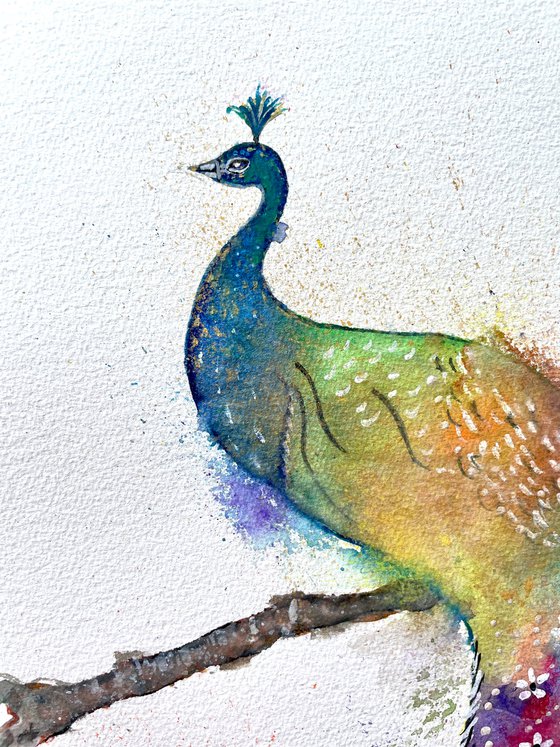 Golden Peacock - Watercolour Study - Pooja Verma