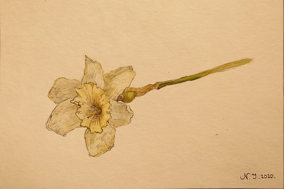 Flower Study III