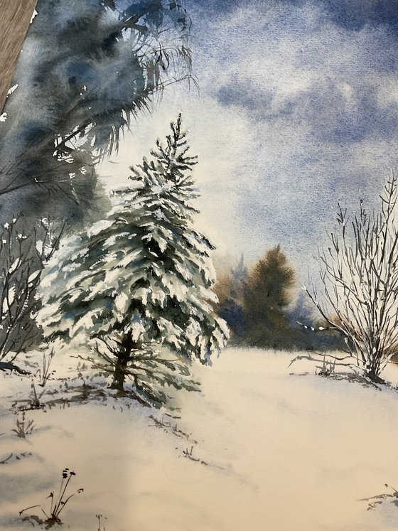 Christmas tree was born in the forest