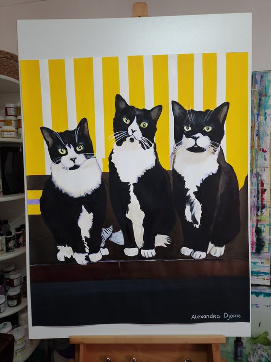 Three cats / 84 x 70 cm