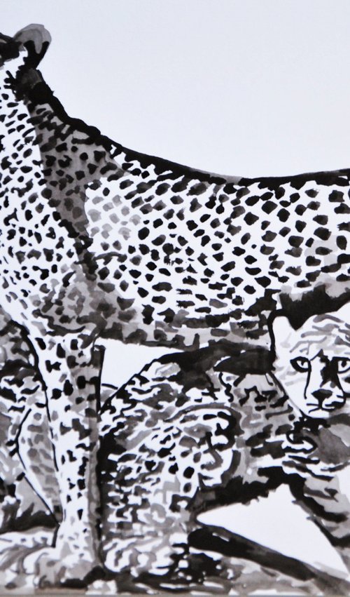 Wild cats / 42 x 29.7 cm by Alexandra Djokic