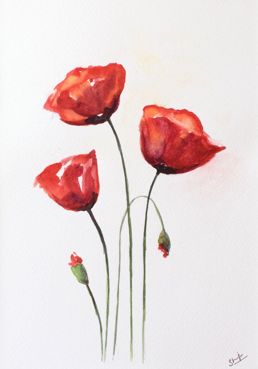 Red Poppies by Shilpi Sharma