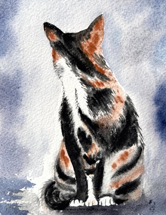 Black White Red Cat