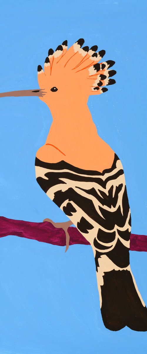 Hoopoe by Alícia Gómez