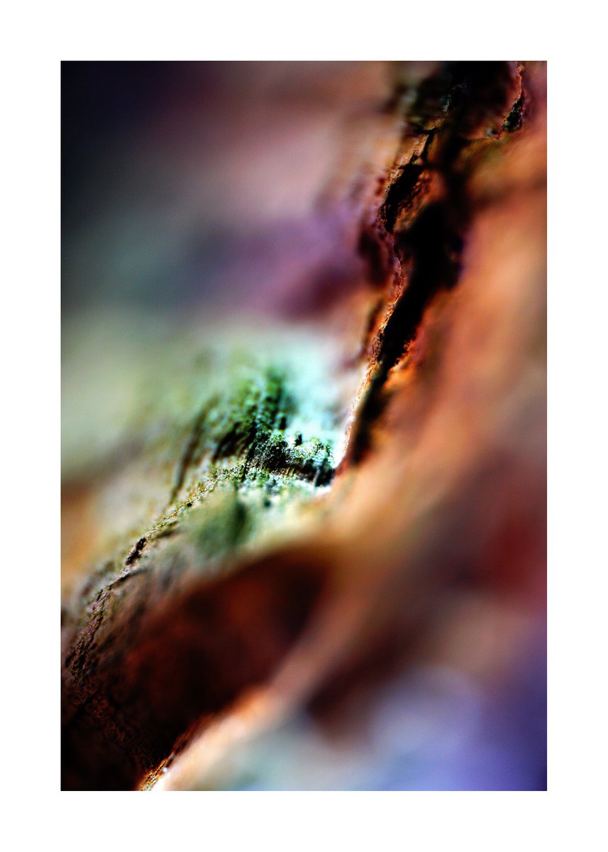 Abstract Nature Photography 172 (LIMITED EDITION OF 15) by Richard Vloemans