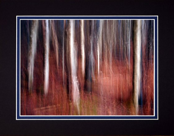 Deep in the Forest two with ICM Photography