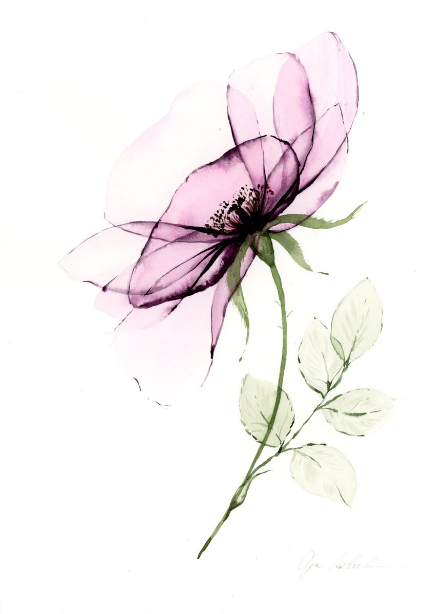 Illustrative Botanical Watercolour By Olga Koelsch, 7 X 10", Transparent Purple Dogrose, Original Artwork
