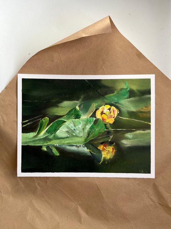 Yellow Flower Water Lily