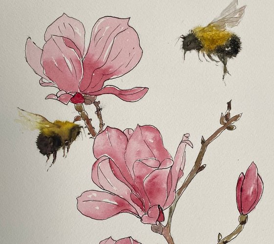 Bumble Bees &  Pink Magnolias