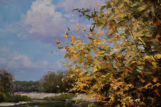 "Golden Lace of the Shore"