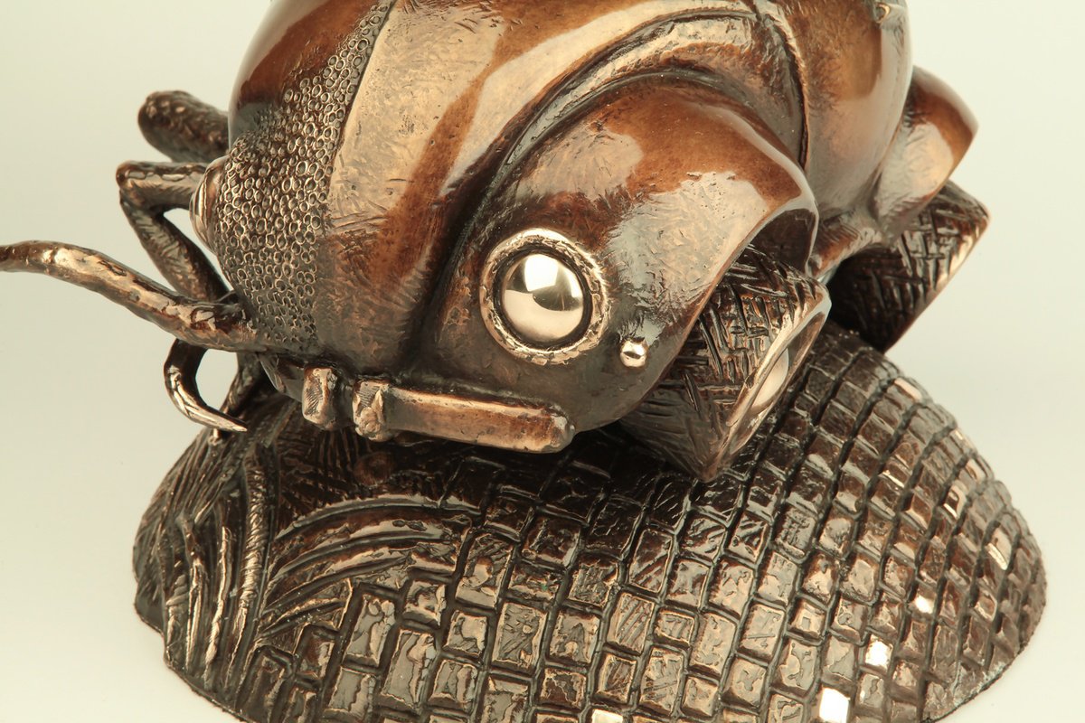 Beetle-beetle by Volodymyr Mykytenko