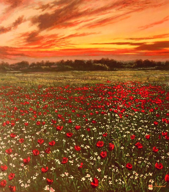 THE POPPY FIELD, BEAUTIFUL SUNSET, MODERN PAINTING ORDER THE SAME ARTWORK