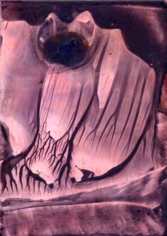 The Dreams Of Nature