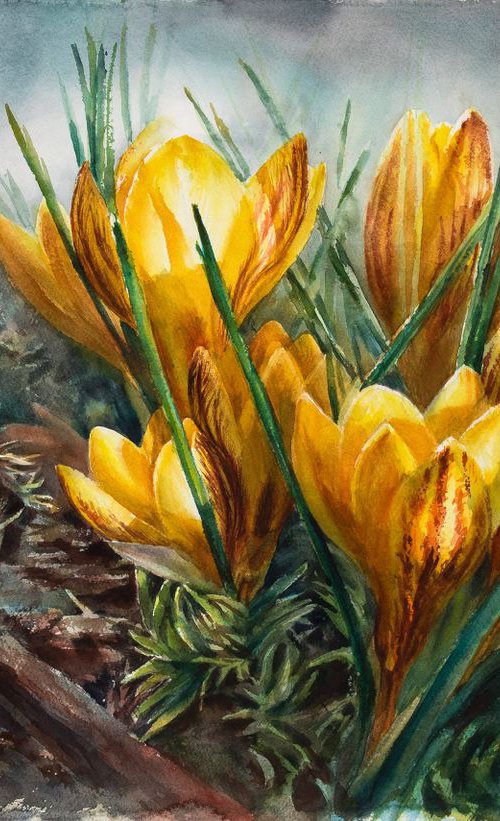 Yellow Crocuses by Lida Duchnewitsch