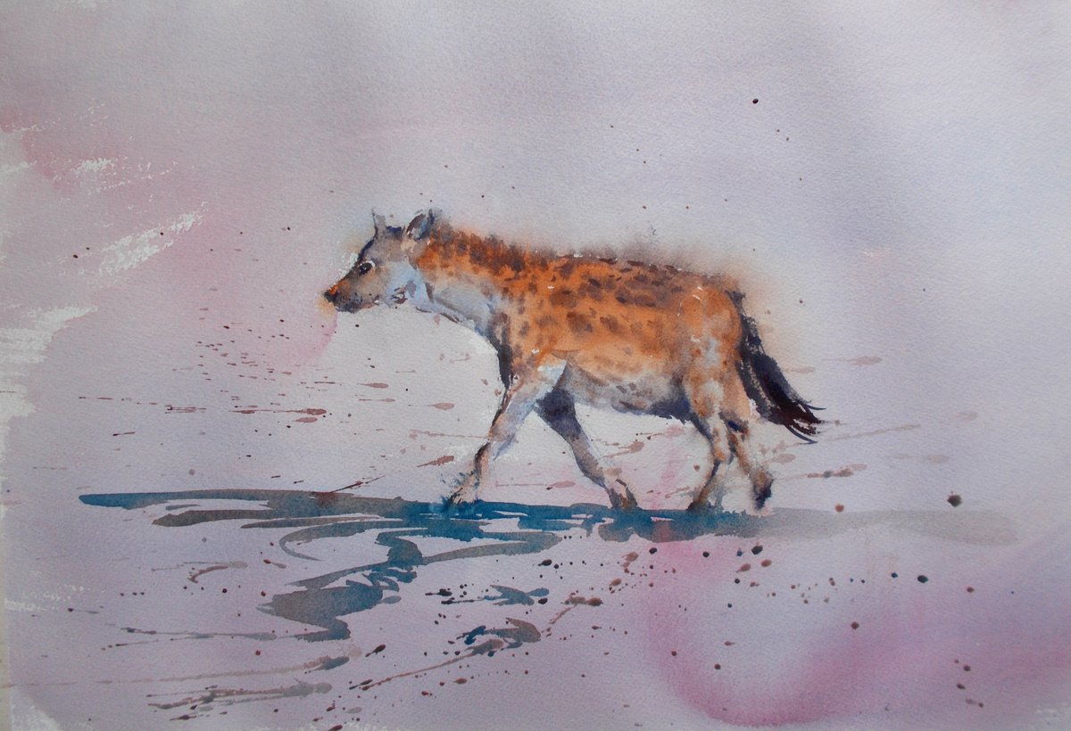spotted hyena by Giorgio Gosti