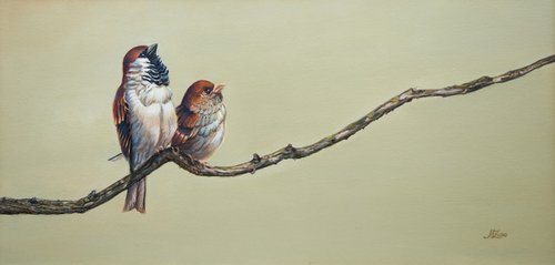 Two sparrows by Norma Beatriz Zaro