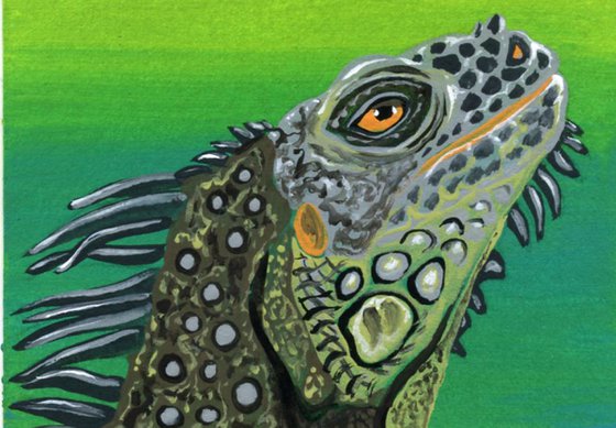 ACEO ATC Original Miniature Painting Green Iguana Lizard  Wildlife Art-Carla Smale