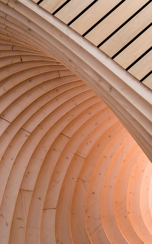 Timber Wave by Basel Almisshal