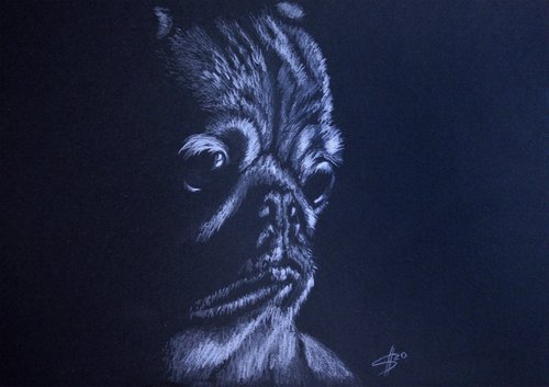 Pug. Portrait of a beloved dog by Salana Art Gallery