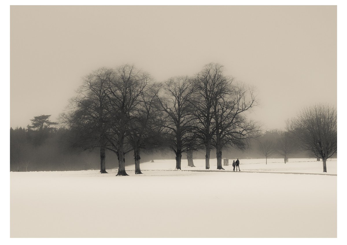 Blenheim Snow by Douglas Kurn