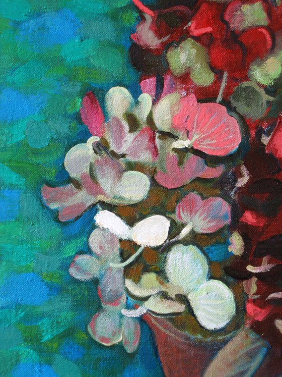 Hydrangea Flowerheads