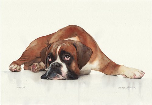 Boxer by REME Jr.