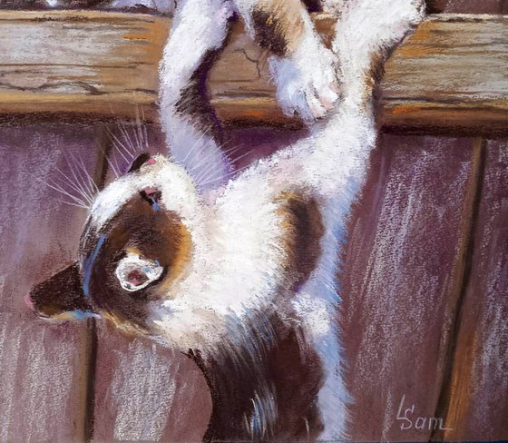 Playful Kittens on the Fence