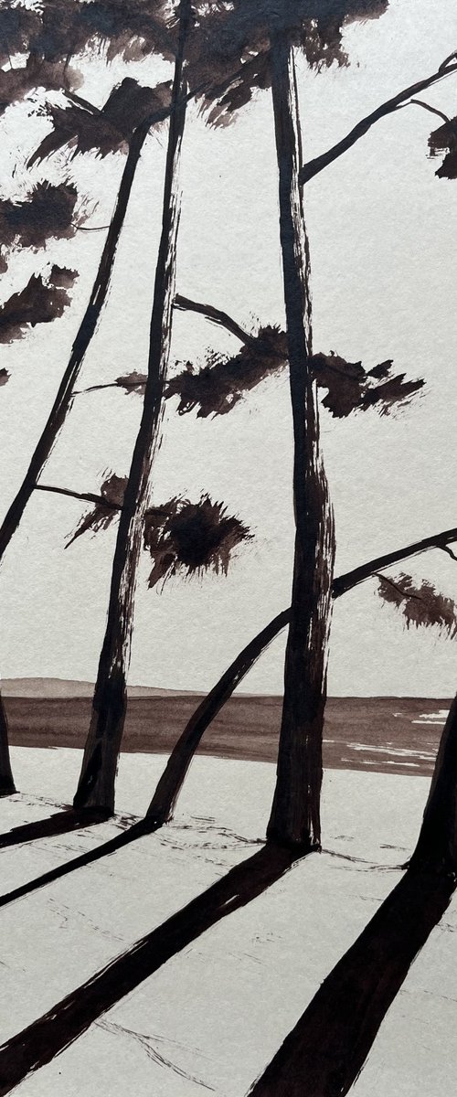 Cap Coz burnt umber by Cadiou Frederic