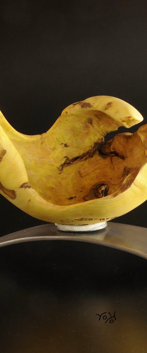 Art Bowl #104 by Roland Köpfer