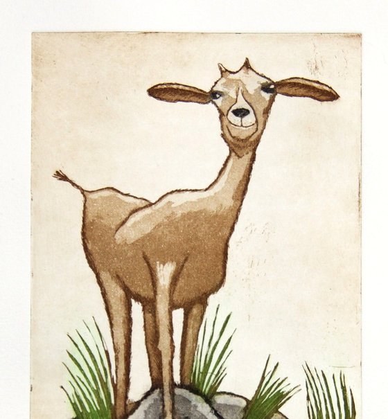 a set of Goat prints