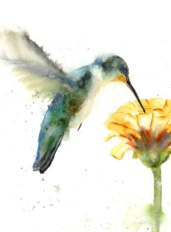 Hummingbird and Yellow Flower