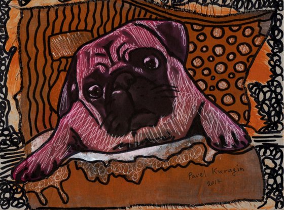 Purple pug