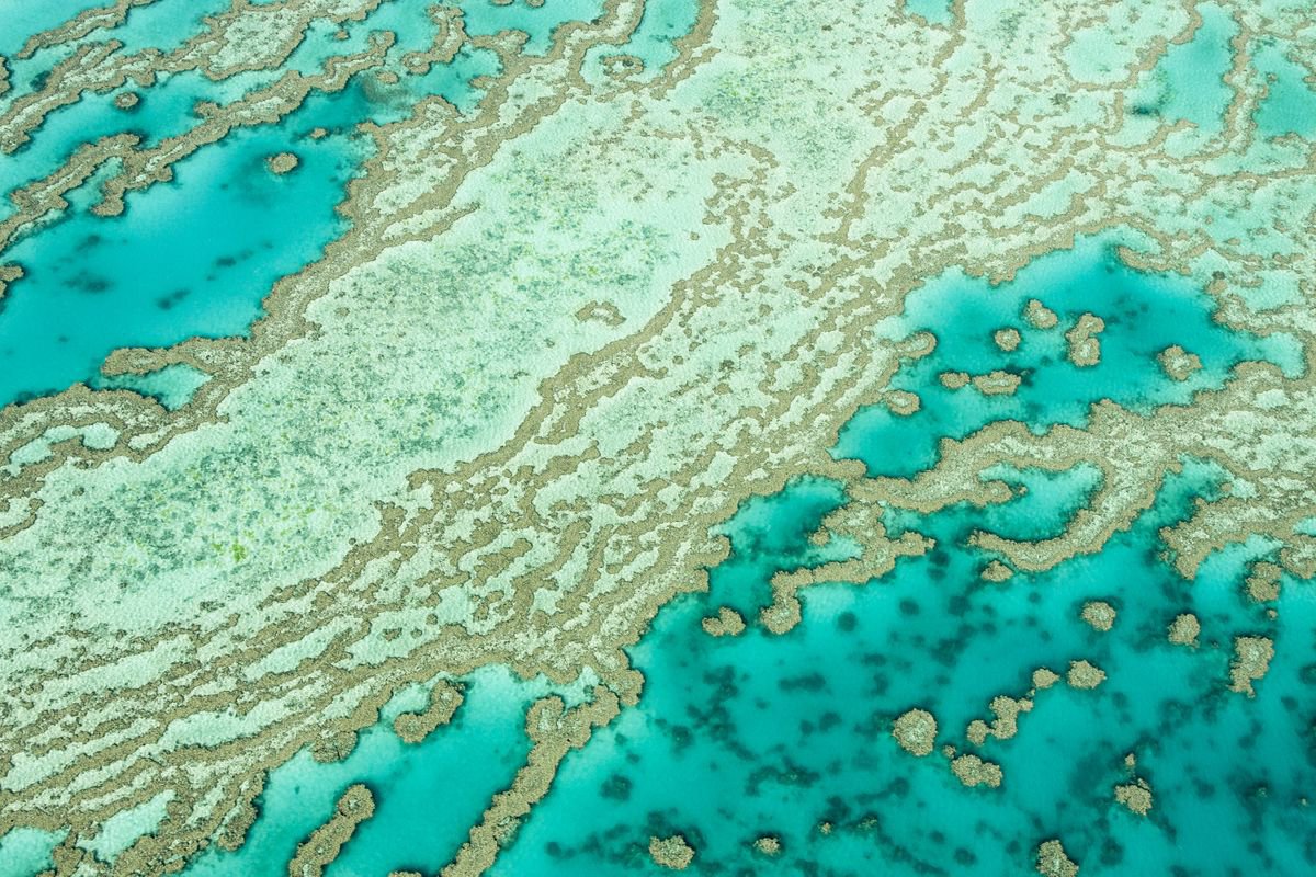 Natural Abstracts - Great Barrier Reef Number 4 by Ken Skehan