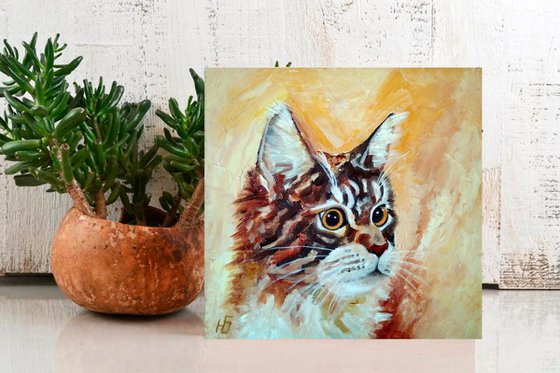 Cat Maine Coon Portrait