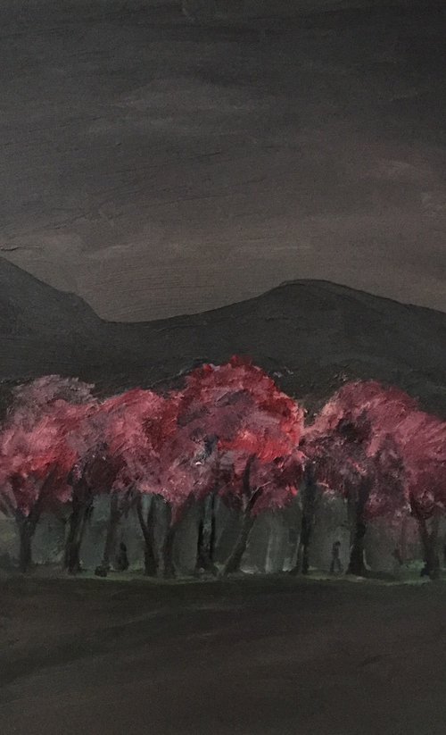 'Cherry trees t dusk, Edinburgh Meadows' by Stephen Howard Harrison