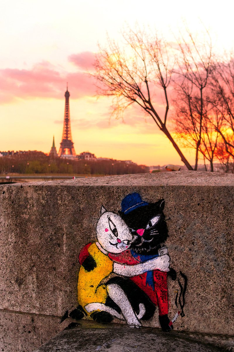 Cat love in Paris : 2019 12 X 18 3/20 by Laura Fitzpatrick