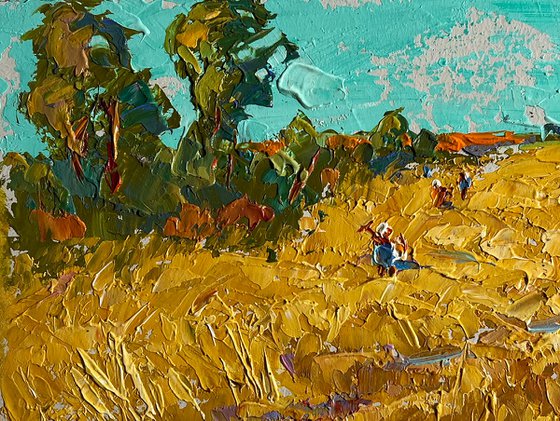 Sunny day in the field